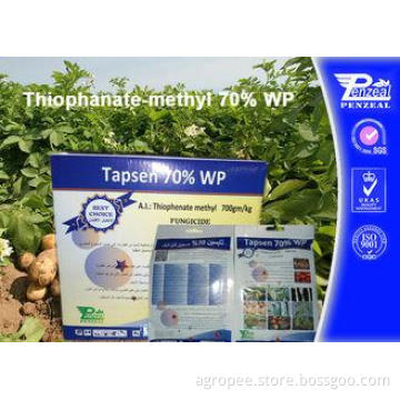 Off - White Powder Systemic Fungicides Thiophanate - Methyl